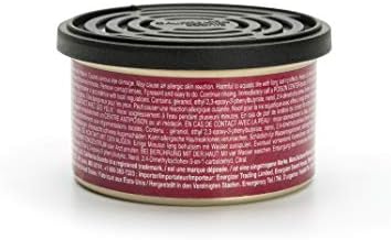 California Scents - Fragancia Duradera de Arándanos para Coche - Control de Intensidad - Ambiente Fresco en tu Coche - 4