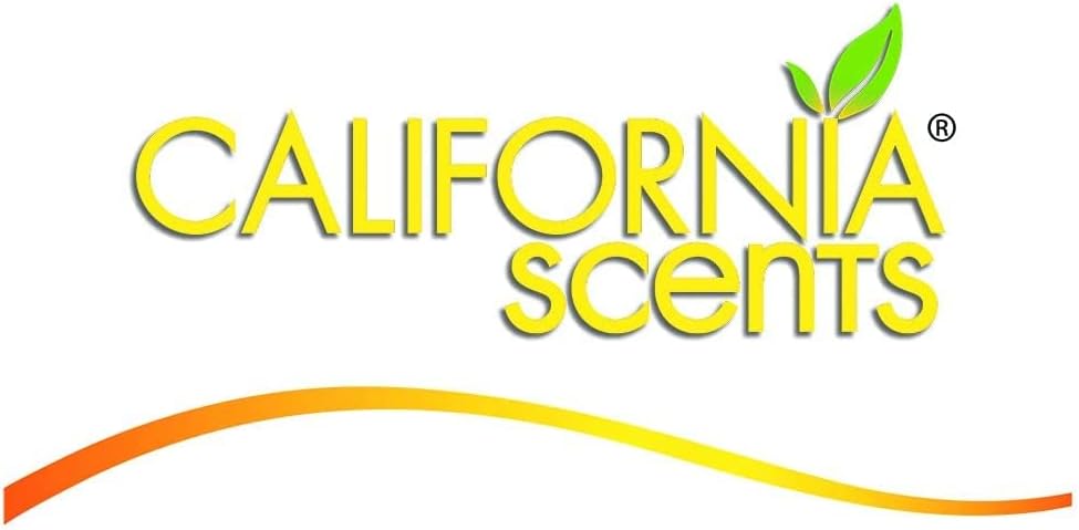 California Scents - Ambientador de Coche Duradero - Noche de Casino - Fragancia Agradable para Carro - Fácil de Usar - A